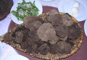 Il tartufo nero di Bagnoli Irpino